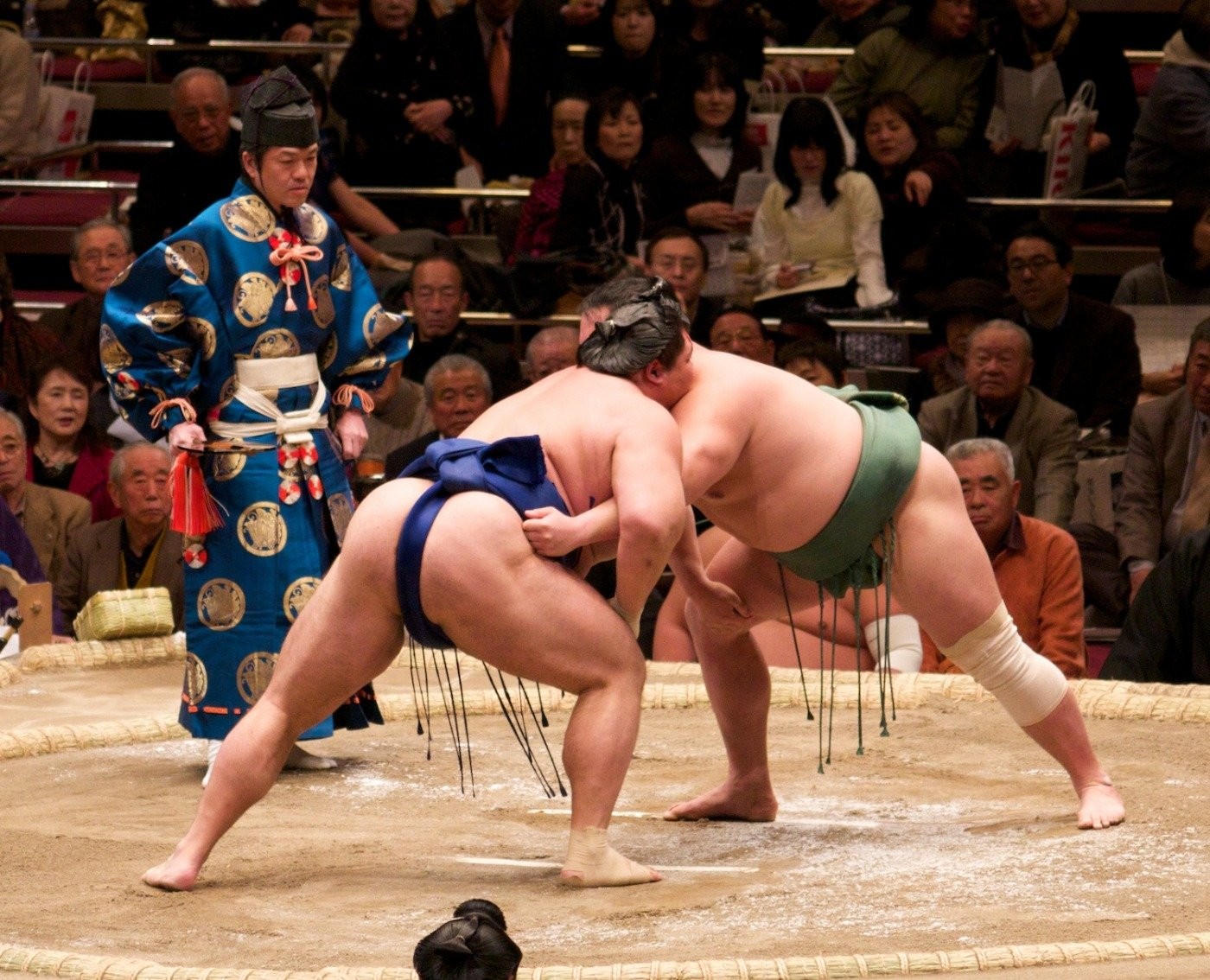 Đấu vật Sumo 