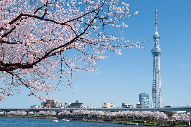 Tháp Tokyo Skytree - Khám phá tòa Tháp Truyền hình cao nhất Thế giới
