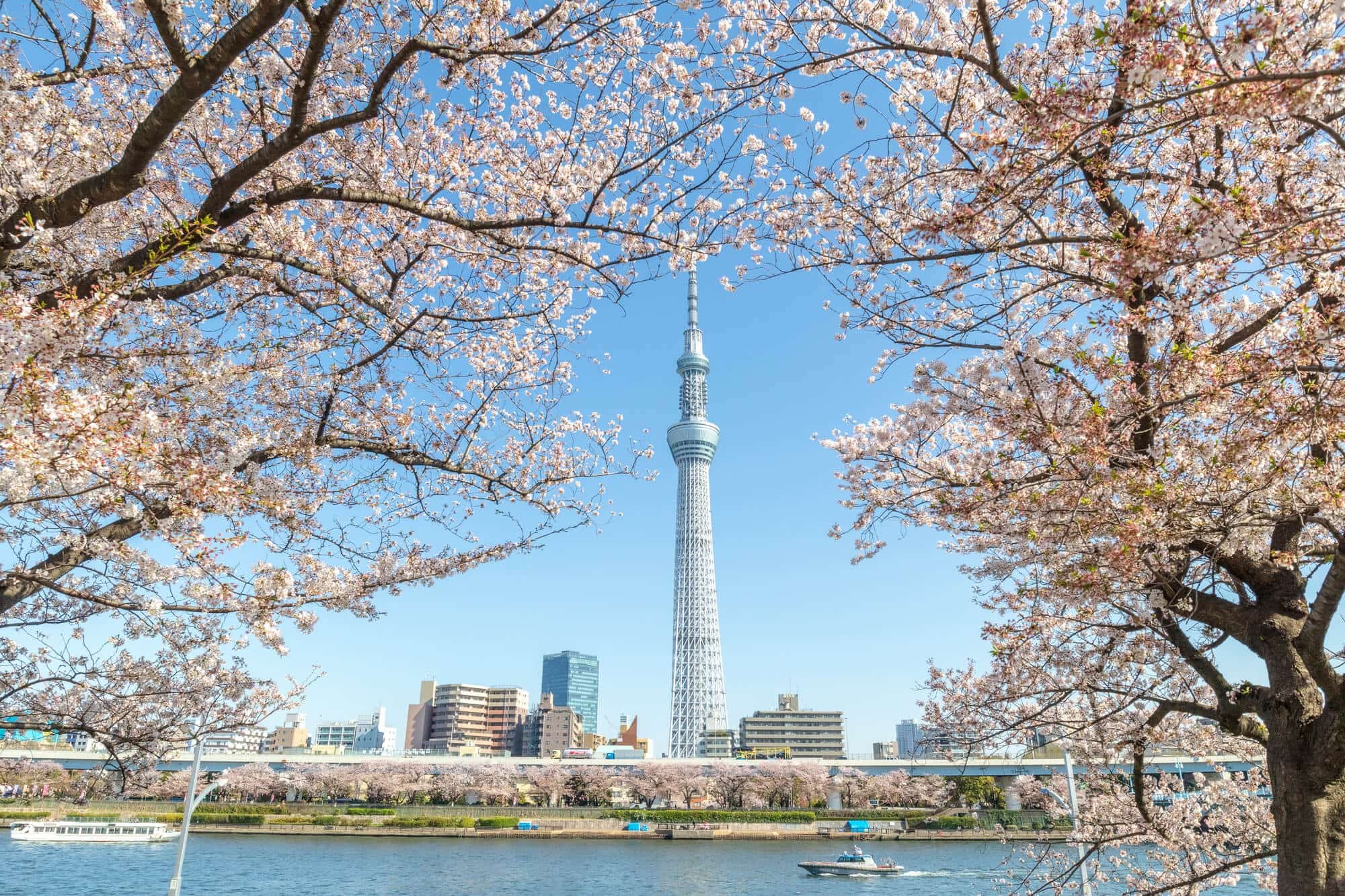 Tháp Tokyo Skytree - Khám phá tòa Tháp Truyền hình cao nhất Thế giới